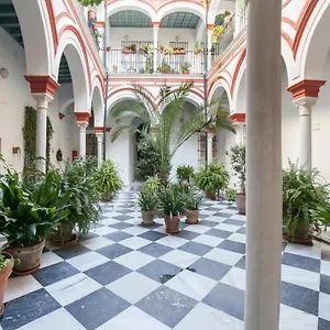 Alohamundi Alfalfa Sevilla